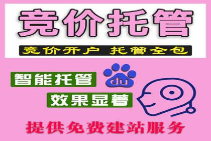 SEM服务公司助力企业市场份额提升案例